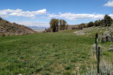 Historic Nevada ranch landscape with grazing Angus cattle at Torre Creek Ranch