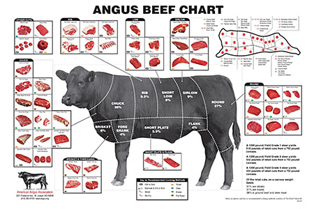 Beef-Nevada: Angus Beef Chart