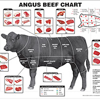 Beef-Nevada.com | Raising High Quality Livestock, Nevada NV